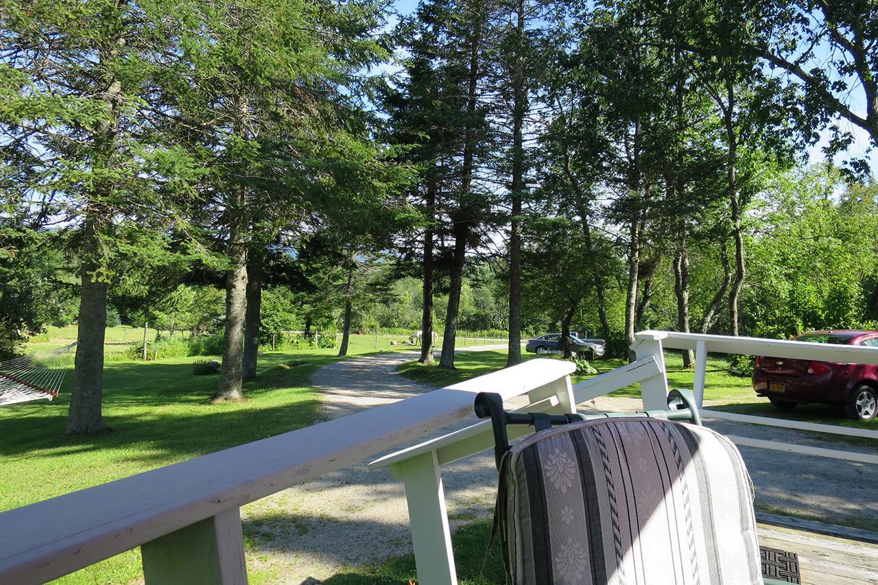 Firefly Bed & Breakfast Lincoln Exterior foto